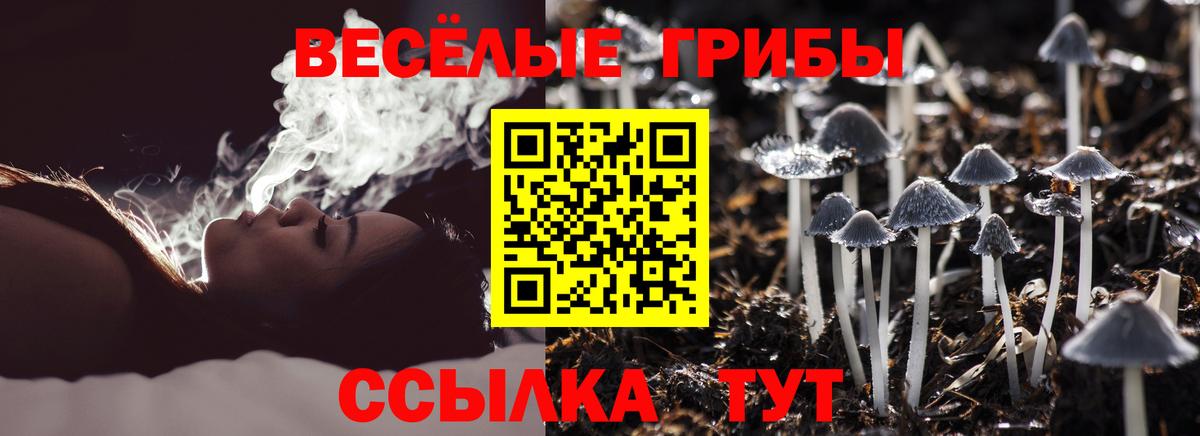 Учалы  Галлюциногенные грибы Psilocybe  Псилоцибиновые грибы Magic Shrooms  Вход с VPN 